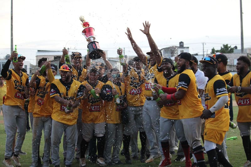 Liga Nacional de Béisbol de Verano anuncia su segundo congreso para noviembre