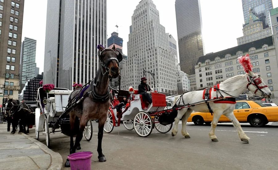 Nueva York proyecta el fin de los paseos en carruajes para el año 2028