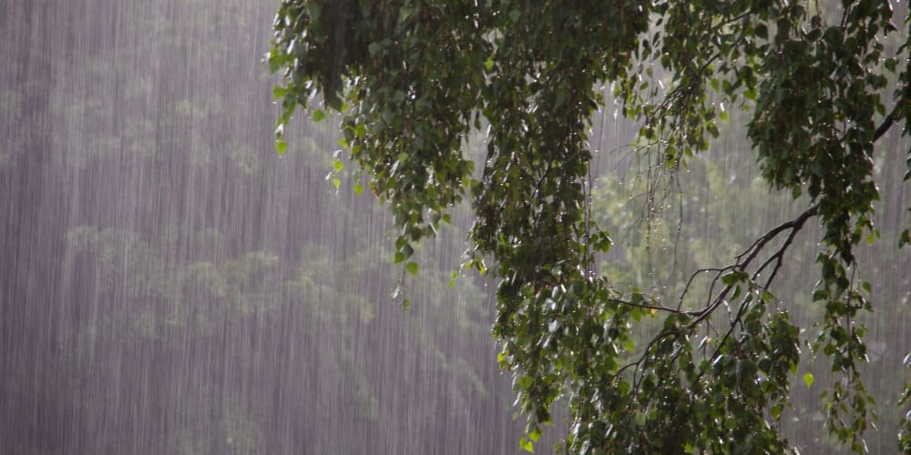 Fuertes precipitaciones anegan zonas de Acapulco y generan alerta