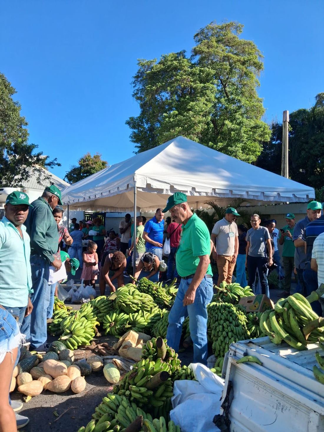 Fuerza del Pueblo organiza mercado popular en Santo Domingo Este para aliviar costo de vida