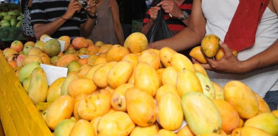 República Dominicana se prepara para retomar exportaciones de mango a EE. UU. en 2027