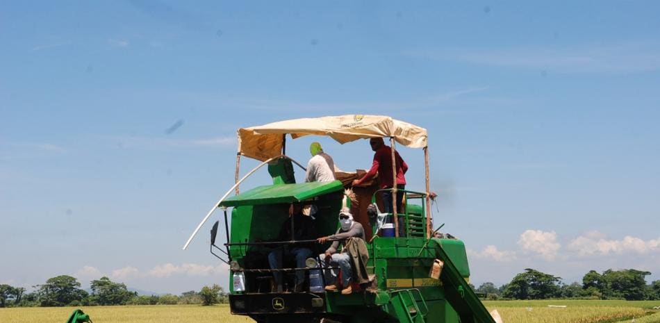 Sector arrocero solicita al Gobierno plan estratégico para proteger la producción nacional