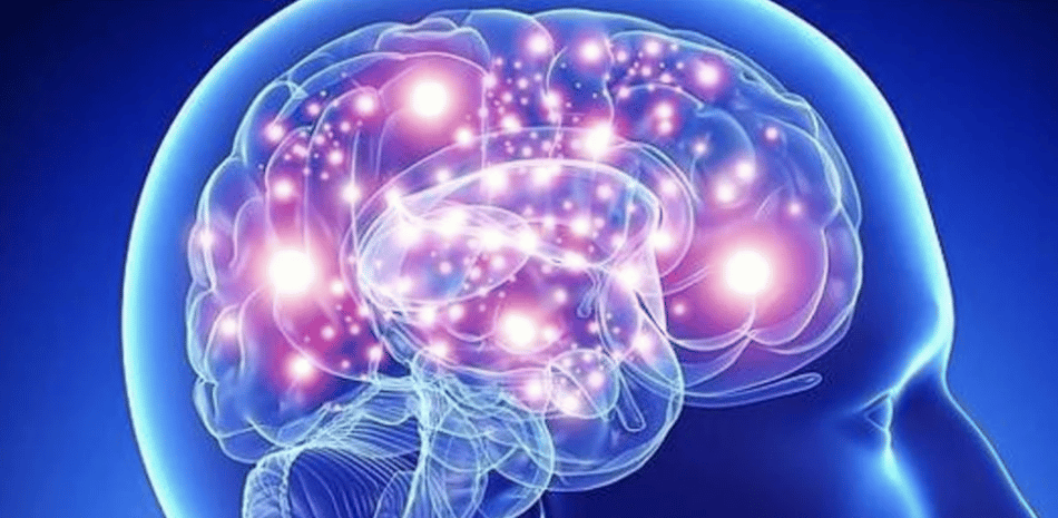 Investigación avanza hacia la conexión directa entre el cerebro humano y dispositivos móviles