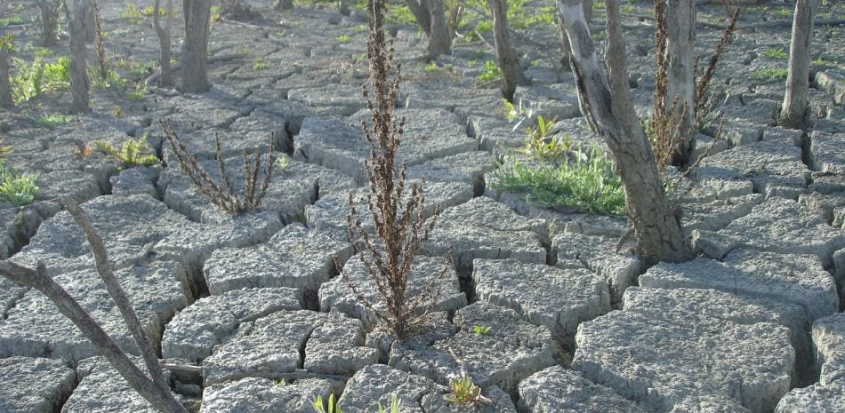 El Programa de la ONU para el Medioambiente advierte que es inminente superar el límite de 1,5 °C del Acuerdo de París