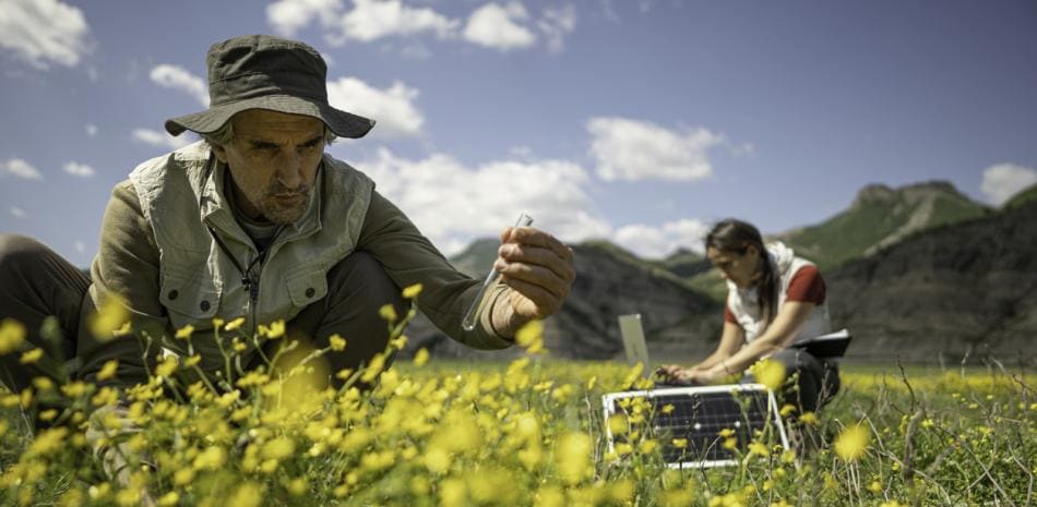 Mandatarios globales firman la Declaración de Ereván para frenar la crisis de biodiversidad antes de 2030