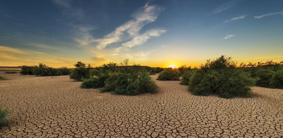 Expertos instan a tratar el cambio climático como una emergencia sanitaria global